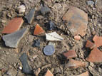 Pot sherds