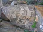 Petroglyph panel