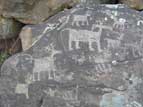 Zoomorphic petroglyph