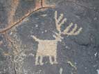 Zoomorphic petroglyph