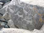 Zoomorphic petroglyph