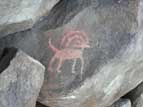 Zoomorphic petroglyph