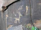 Zoomorphic petroglyph