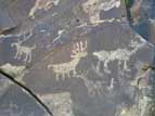 Zoomorphic petroglyph