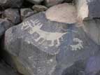 Zoomorphic petroglyph