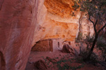 Image of cliff dwelling